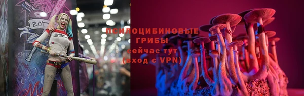 ECSTASY Карпинск