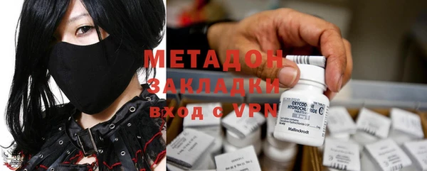 индика Каменногорск