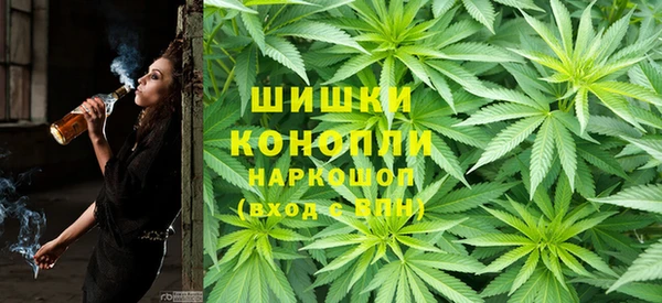 прущие грибы Кинешма