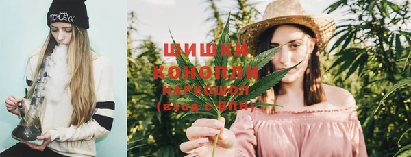 mix Козельск
