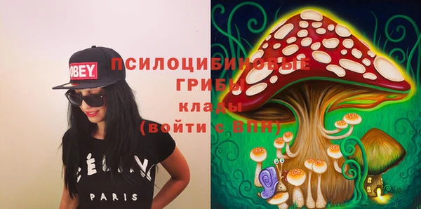 эйфоретик Касимов