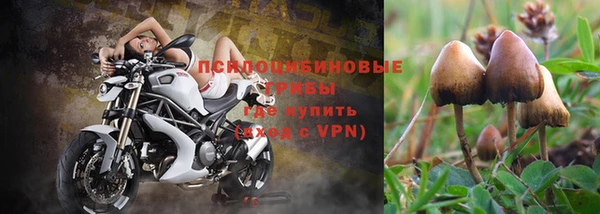 эйфоретик Касимов