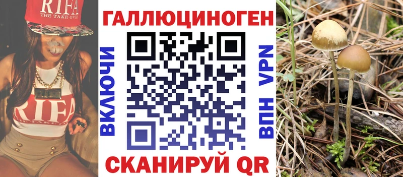 где купить   Костерёво  Псилоцибиновые грибы GOLDEN TEACHER 