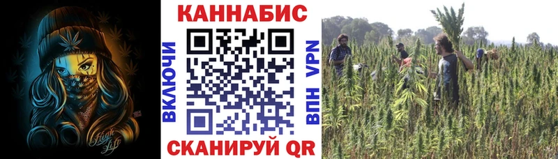 МАРИХУАНА планчик  Костерёво 